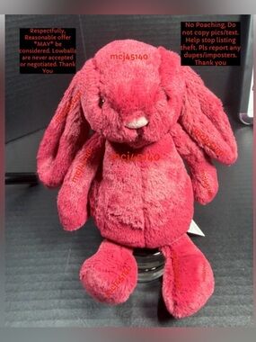 BNWT JELLYCAT LITTLE BASHFUL BUNNY RED CURRANT ONLY